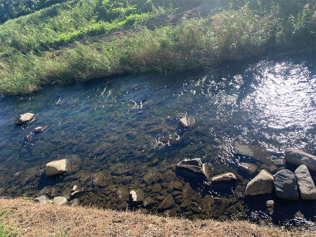 f:id:syomama0202:20231014213505j:image