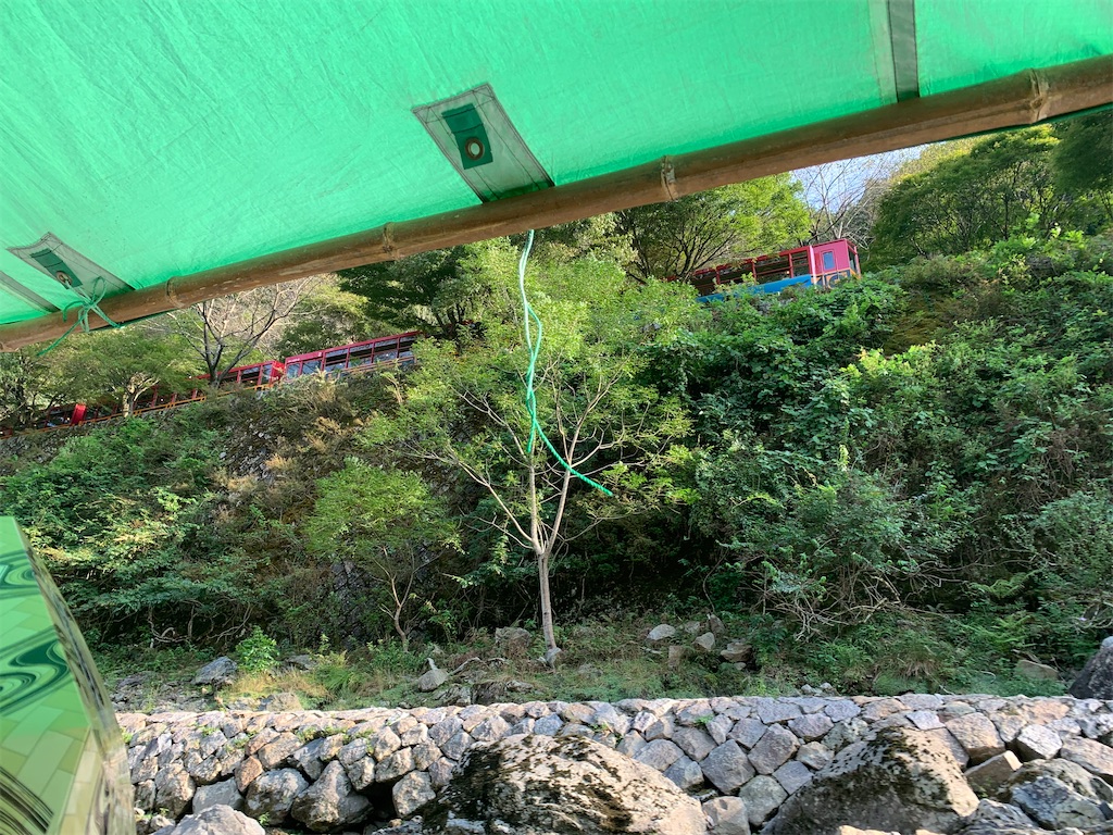 f:id:syomama0202:20231017173038j:image