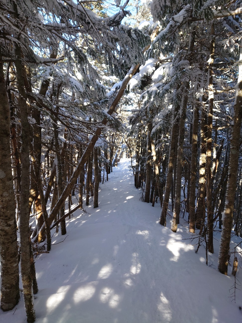 f:id:syorkun:20260222092113j:image