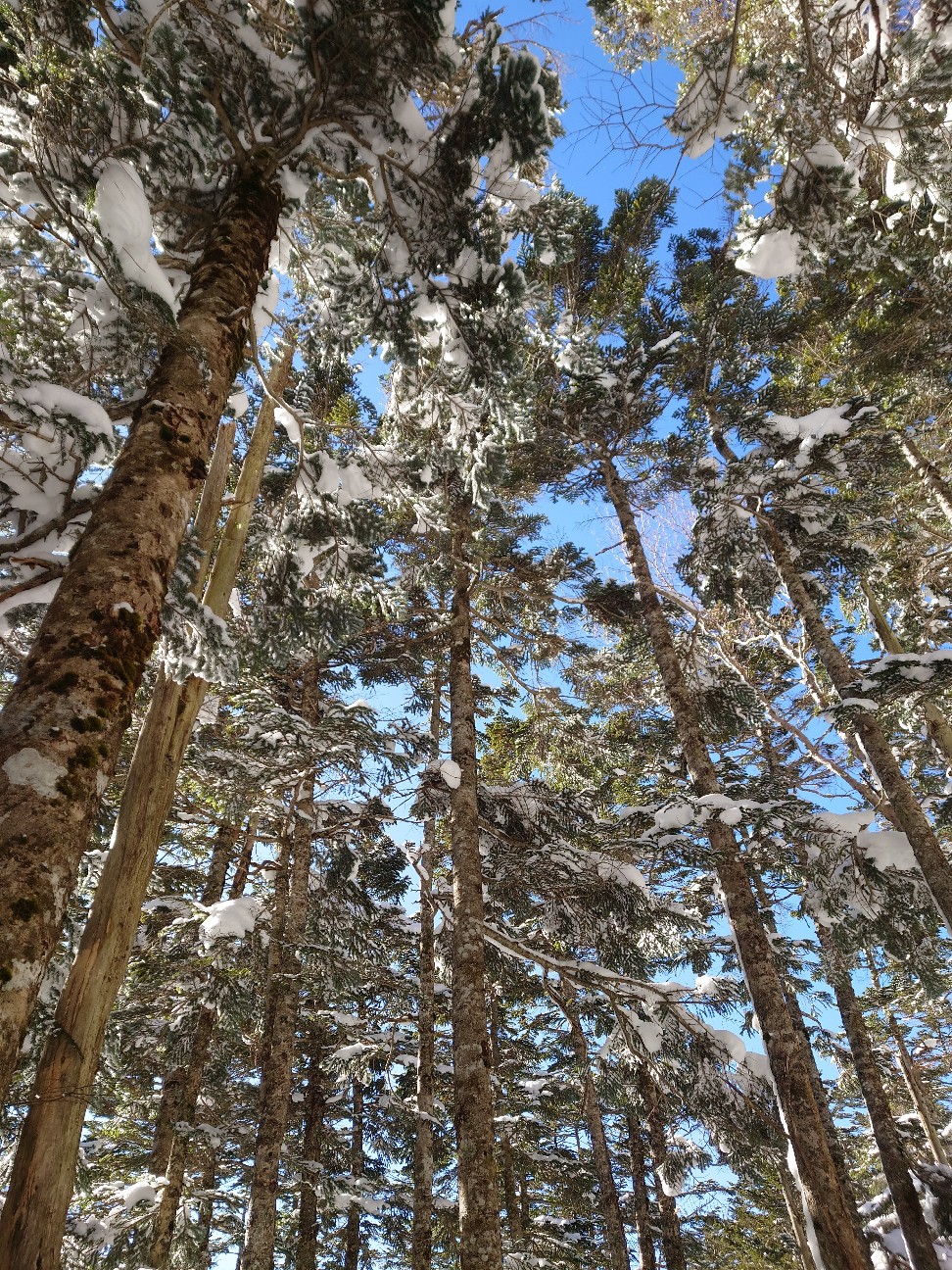 f:id:syorkun:20260222092115j:image