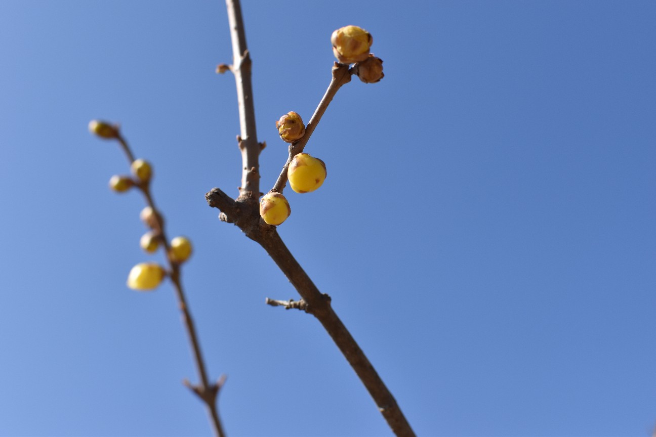 f:id:syorkun:20260224153232j:image