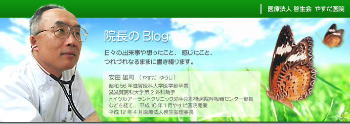 f:id:syosakoi:20170726115933p:plain f:id:syosakoi:20170726115933p:plain