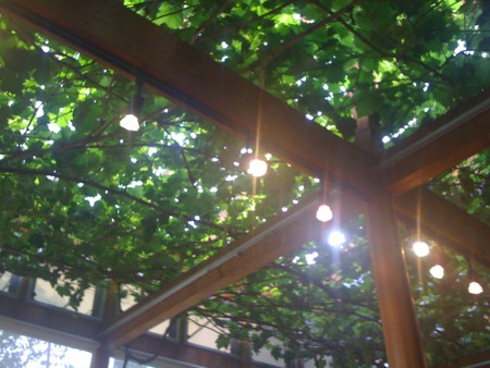 f:id:syou6162:20090708164257j:image f:id:syou6162:20090708164257j:image