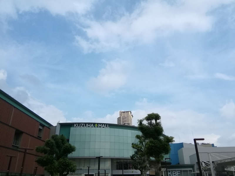 イメージ 6