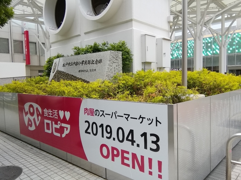 イメージ 7