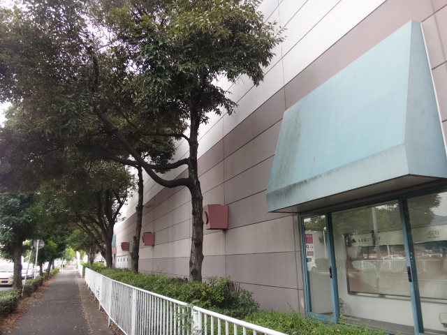 イメージ 3