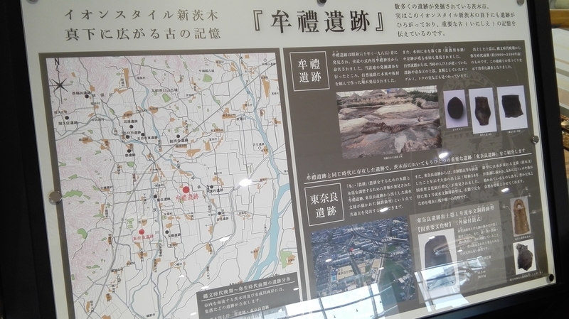 イメージ 7