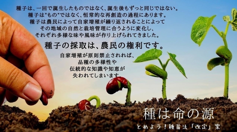 f:id:syounantheo:20200612110912j:plain f:id:syounantheo:20200612110912j:plain