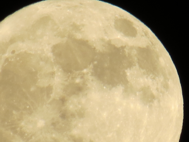 f:id:syouyudango:20200610171144j:plain f:id:syouyudango:20200610171144j:plain