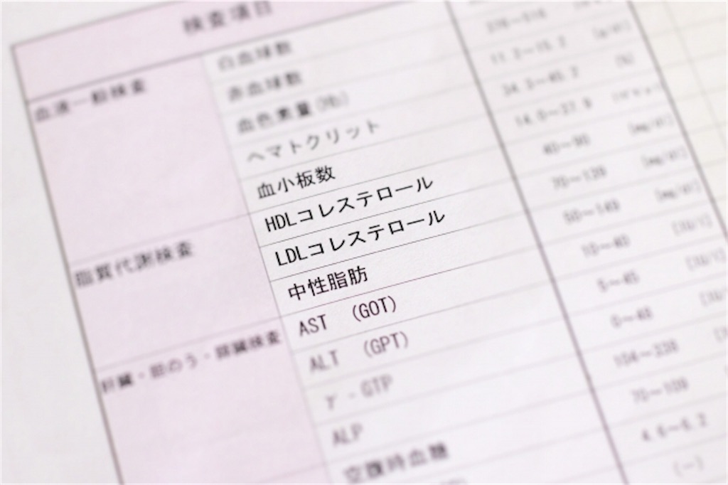 f:id:syouyudango:20201011114305j:image