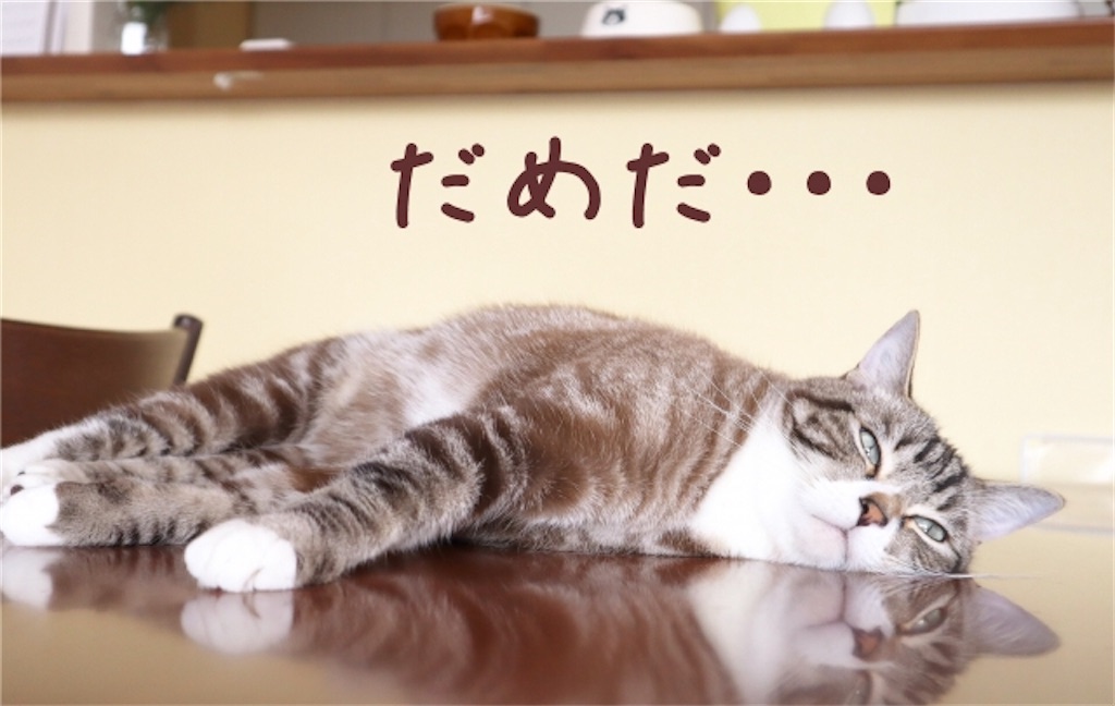 f:id:syouyudango:20201102170147j:image f:id:syouyudango:20201102170147j:image