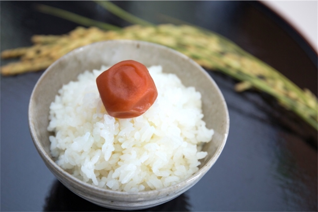f:id:syouyudango:20201103090646j:image