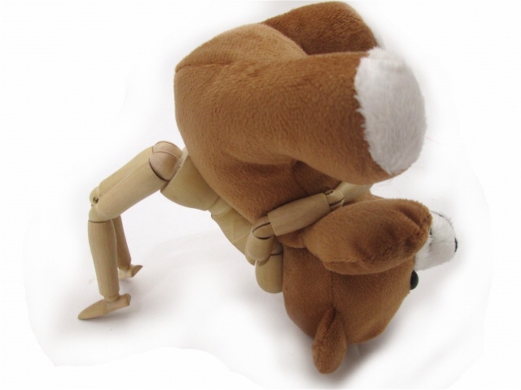 f:id:syouyudango:20201216175522j:image