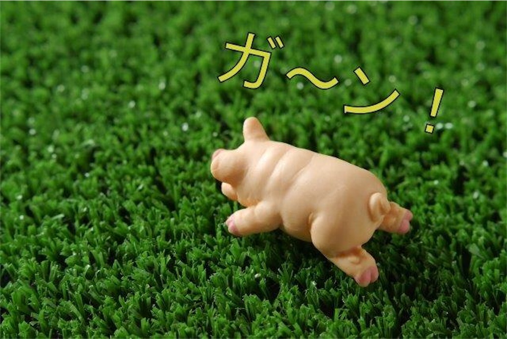 f:id:syouyudango:20201229111443j:image f:id:syouyudango:20201229111443j:image