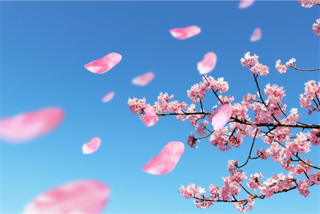 f:id:syouyudango:20210403151937j:image