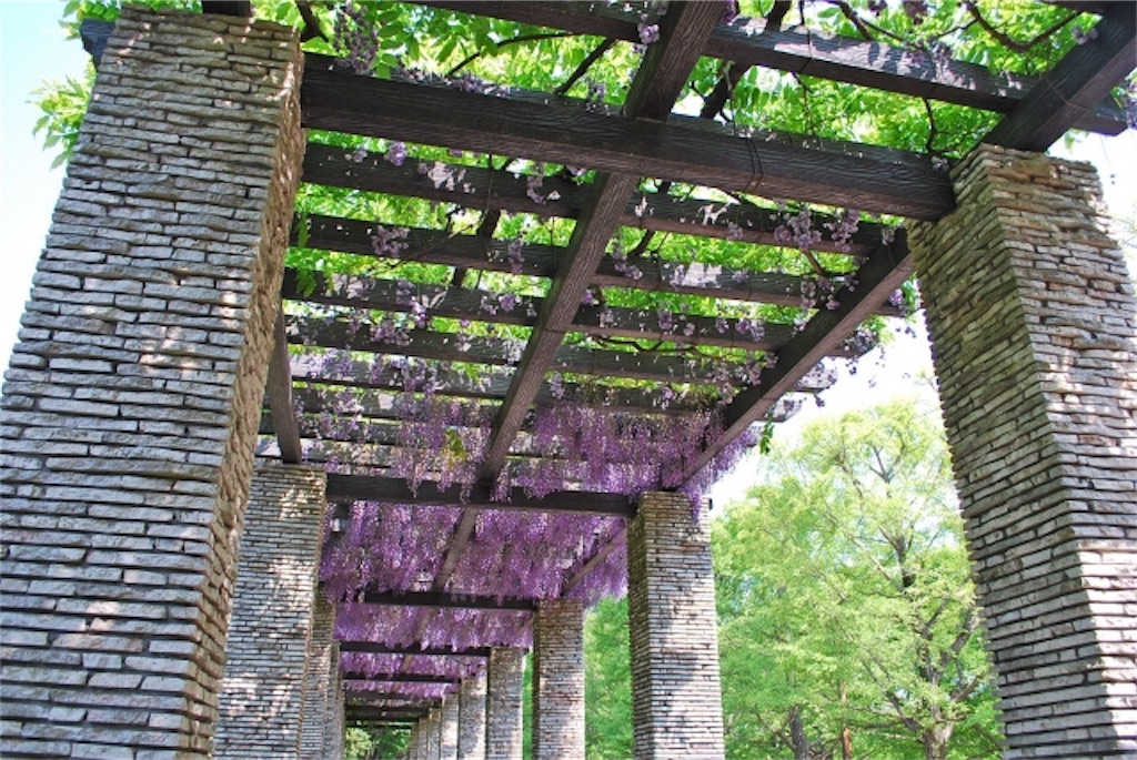 f:id:syouyudango:20210415123236j:image f:id:syouyudango:20210415123236j:image