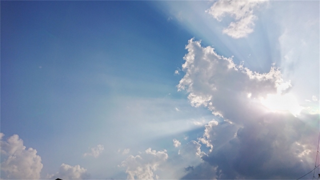 f:id:syouyudango:20210802171329j:image