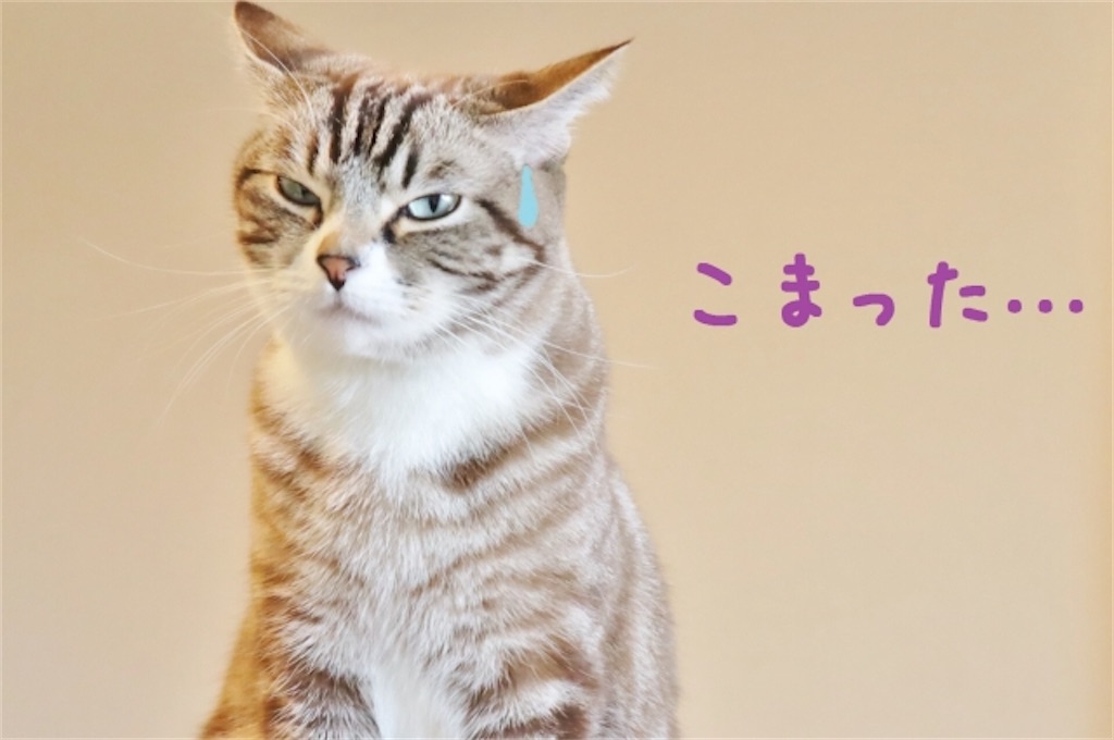 f:id:syouyudango:20210826185436j:image f:id:syouyudango:20210826185436j:image