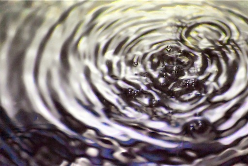 f:id:syouyudango:20211127082817j:image f:id:syouyudango:20211127082817j:image