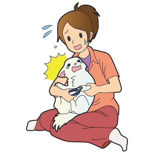 f:id:syouyudango:20221001163635j:image