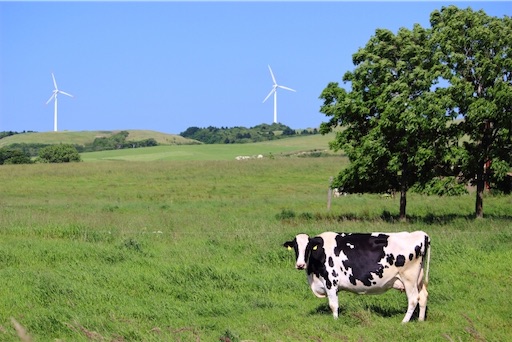 f:id:syouyudango:20230312131129j:image f:id:syouyudango:20230312131129j:image