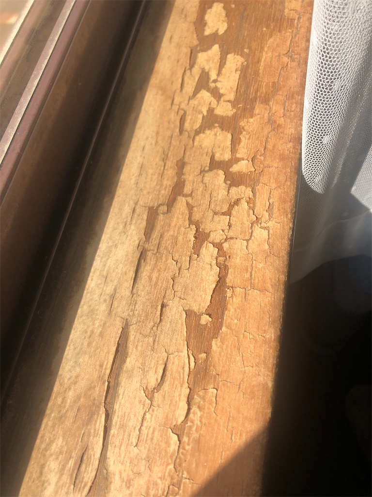 f:id:syouyudango:20240414052931j:image