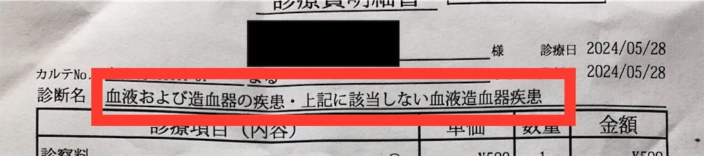 f:id:syouyudango:20240530190651j:image