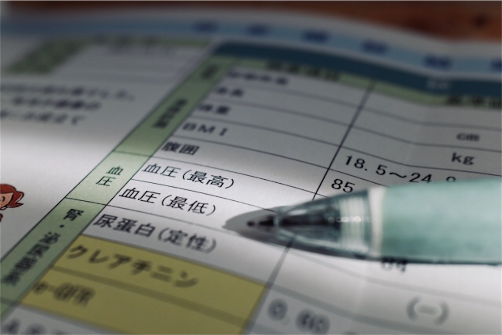 f:id:syouyudango:20240827190829j:image