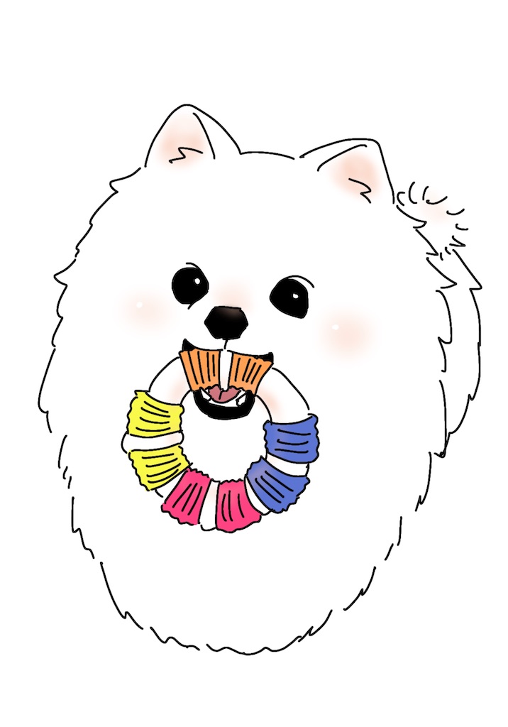 f:id:syouyudango:20241223203637j:image
