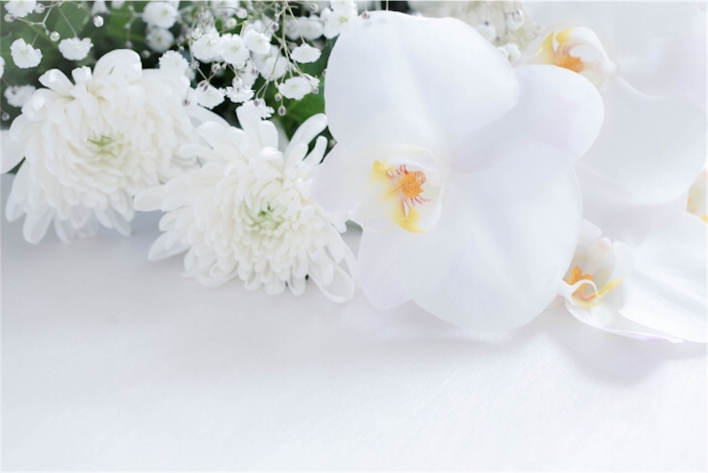 f:id:syouyudango:20250319174436j:image