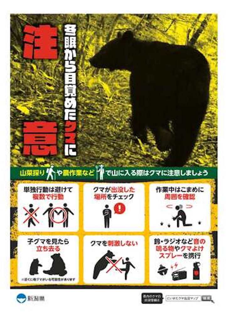 f:id:syouyudango:20250501191712j:image
