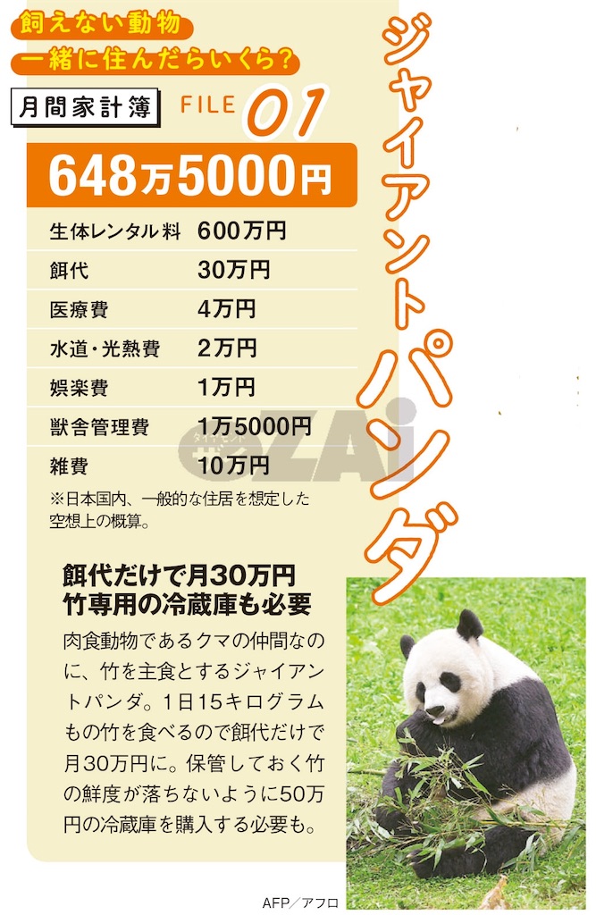f:id:syouyudango:20250604165440j:image