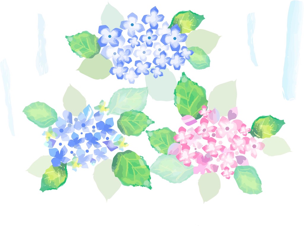 f:id:syouyudango:20250623202258j:image