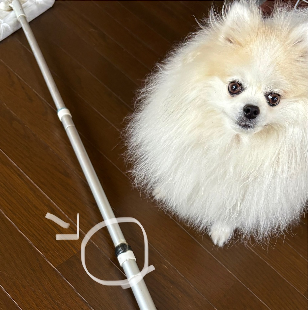 f:id:syouyudango:20250727165155j:image
