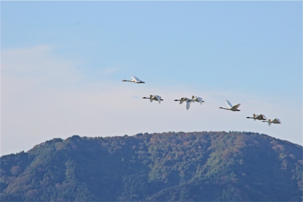 f:id:syouyudango:20251008175937j:image