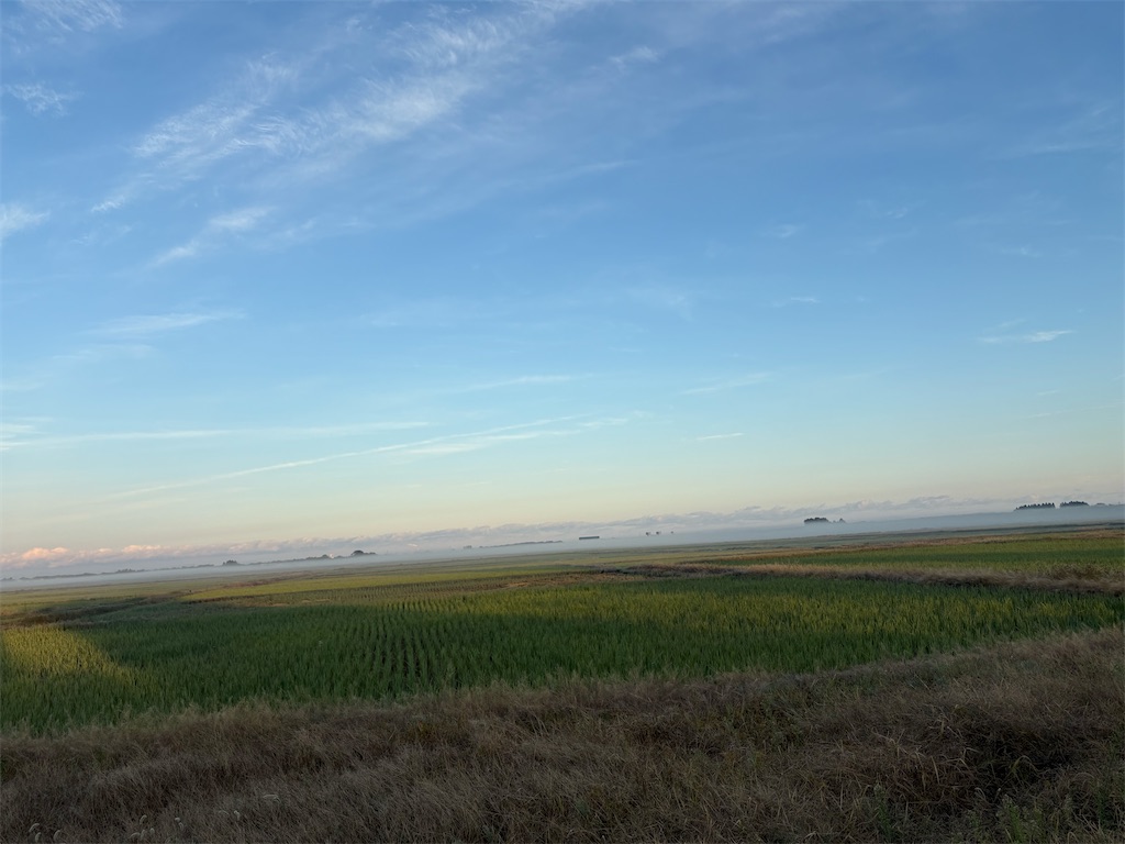 f:id:syouyudango:20251025194829j:image