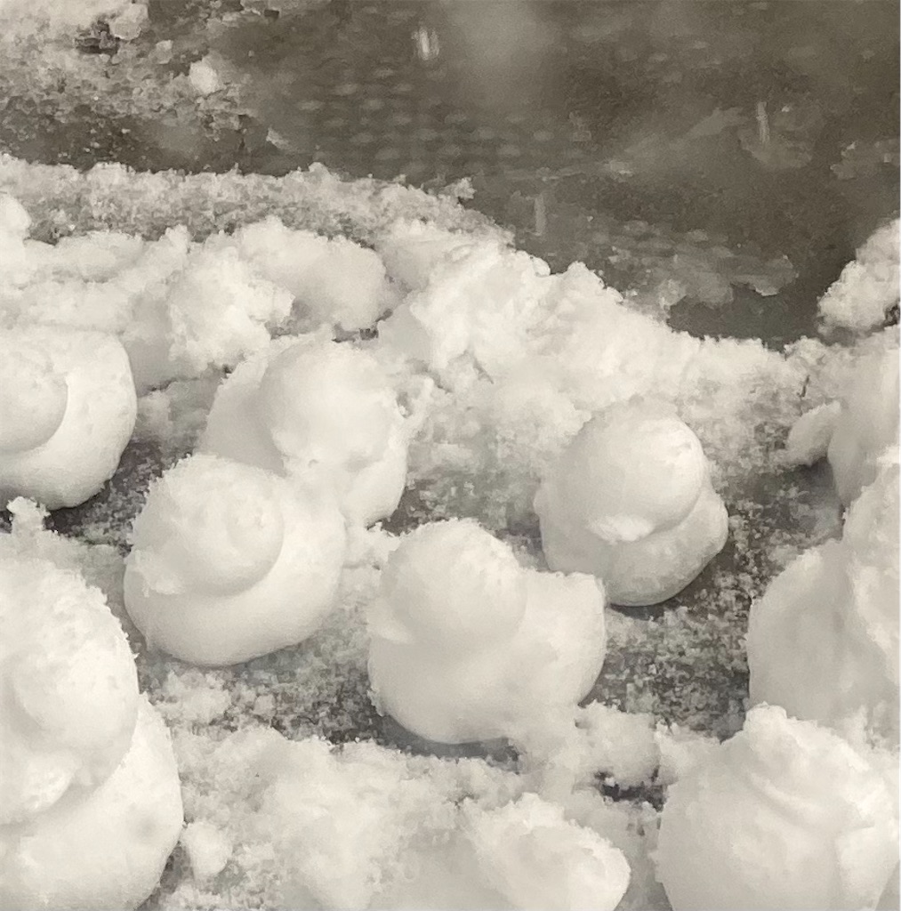 f:id:syouyudango:20260124174908j:image