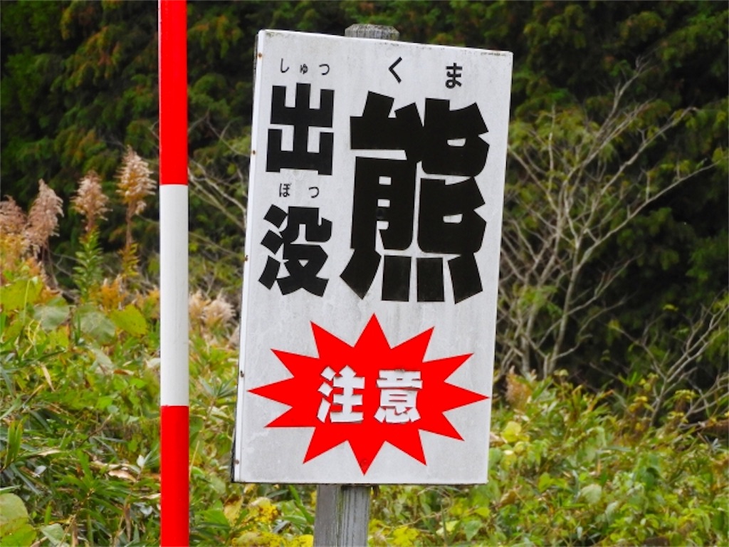 f:id:syouyudango:20260603185601j:image