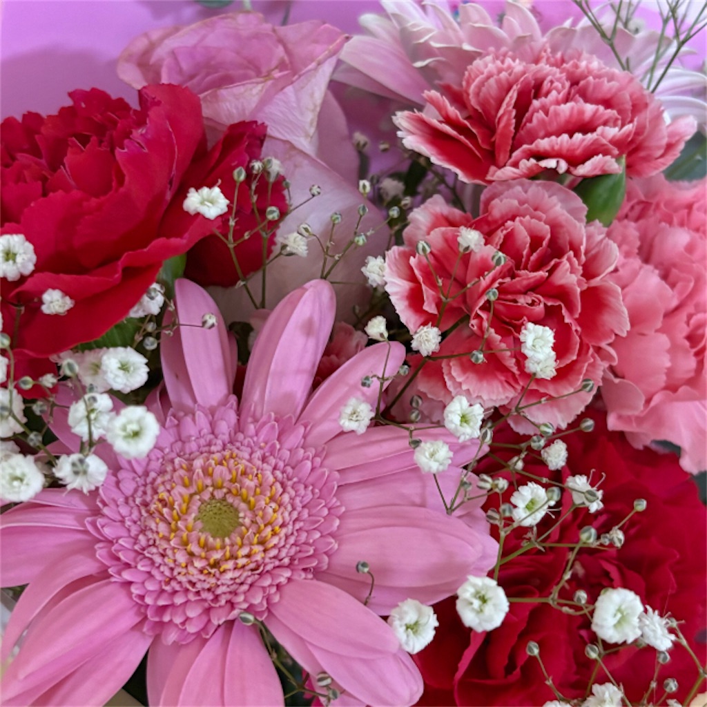 f:id:syouyudango:20260604193418j:image