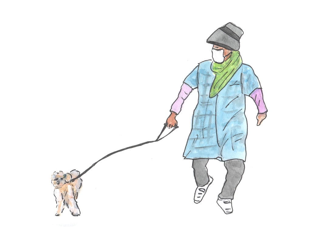 f:id:syouyudango:20260616190957j:image