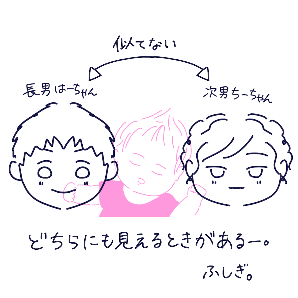 f:id:syrup0215:20240705155051p:image