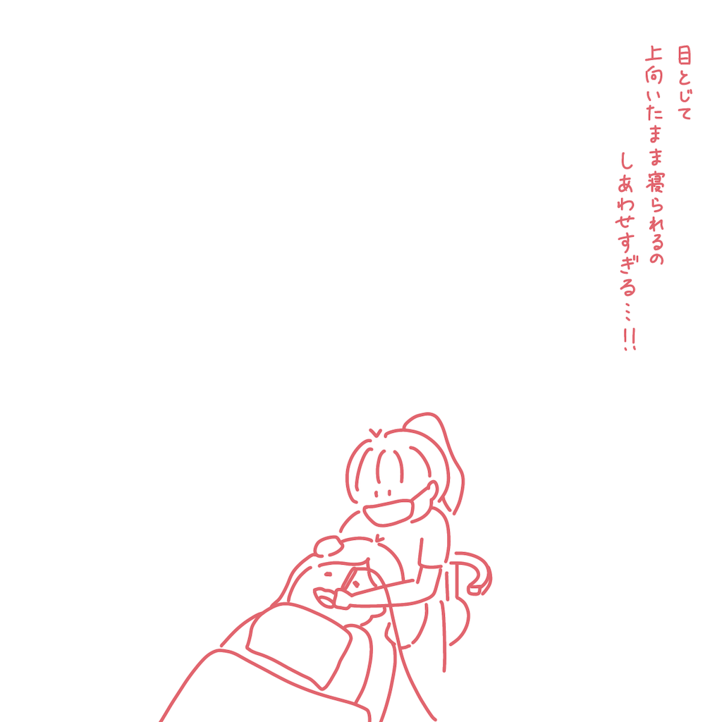 f:id:syrup0215:20241211213132p:image