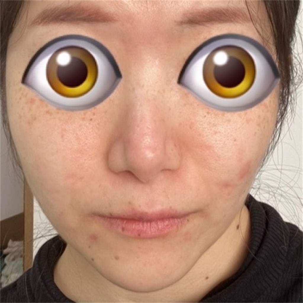 f:id:syrup0215:20241213105727j:image