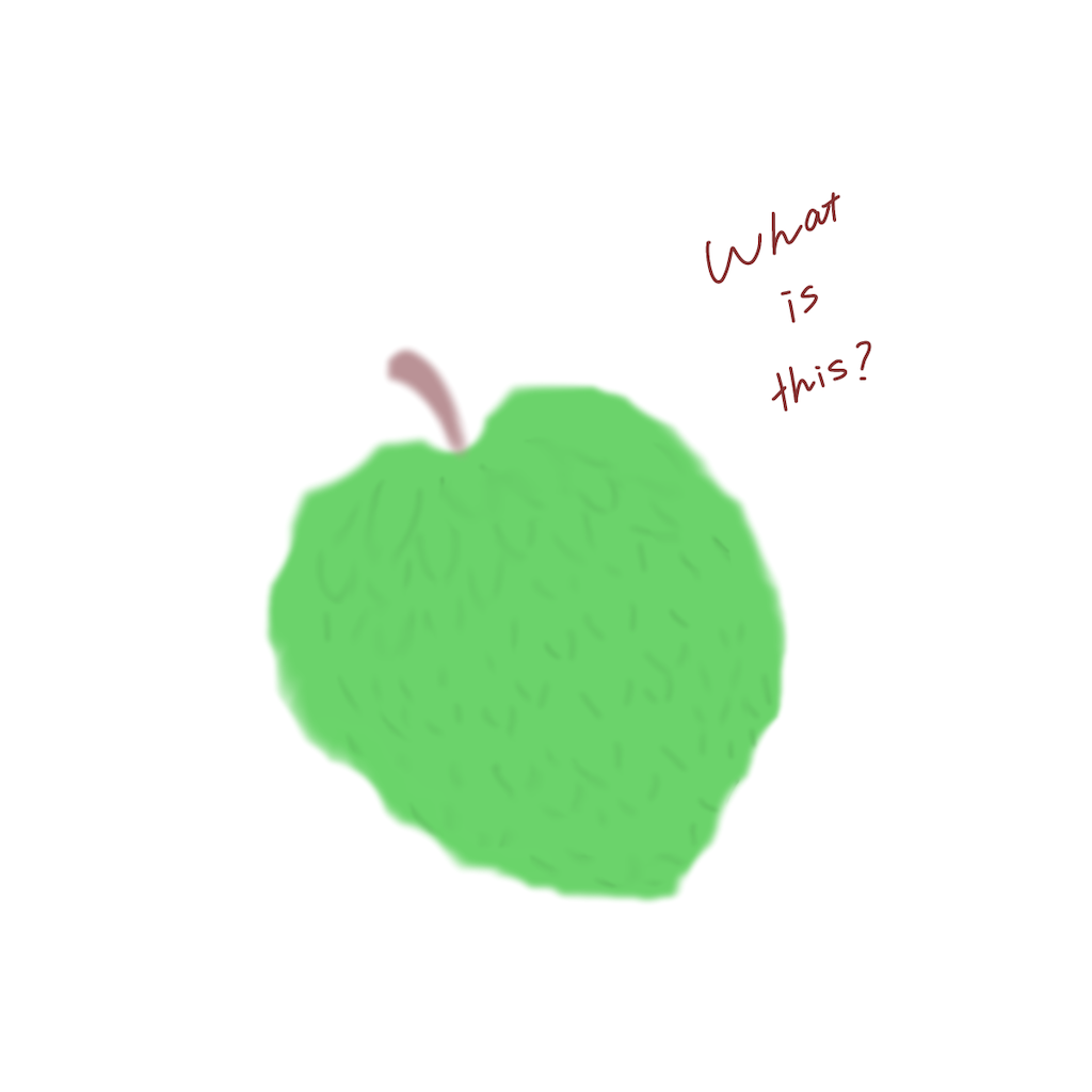 f:id:syrup0215:20241228114057p:image