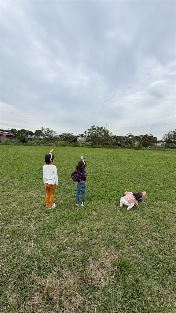 f:id:syrup0215:20251230081920j:image