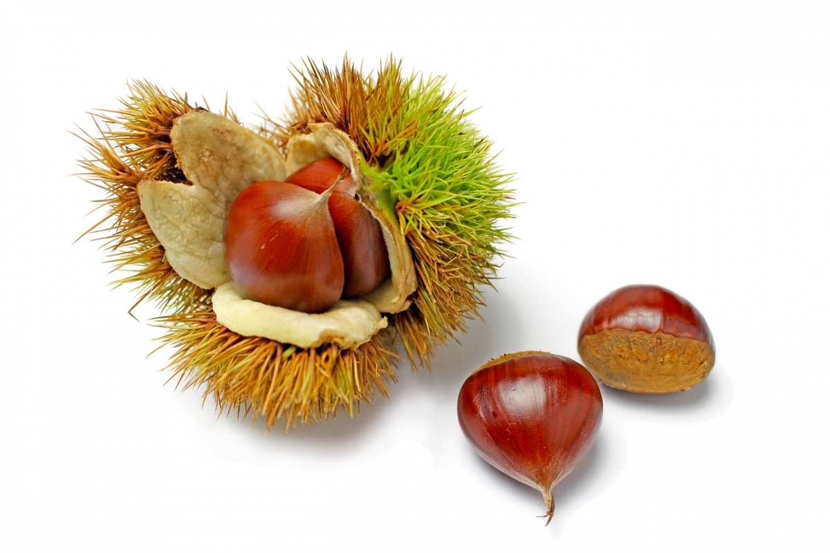 f:id:syrup23g:20191123222228j:plain f:id:syrup23g:20191123222228j:plain