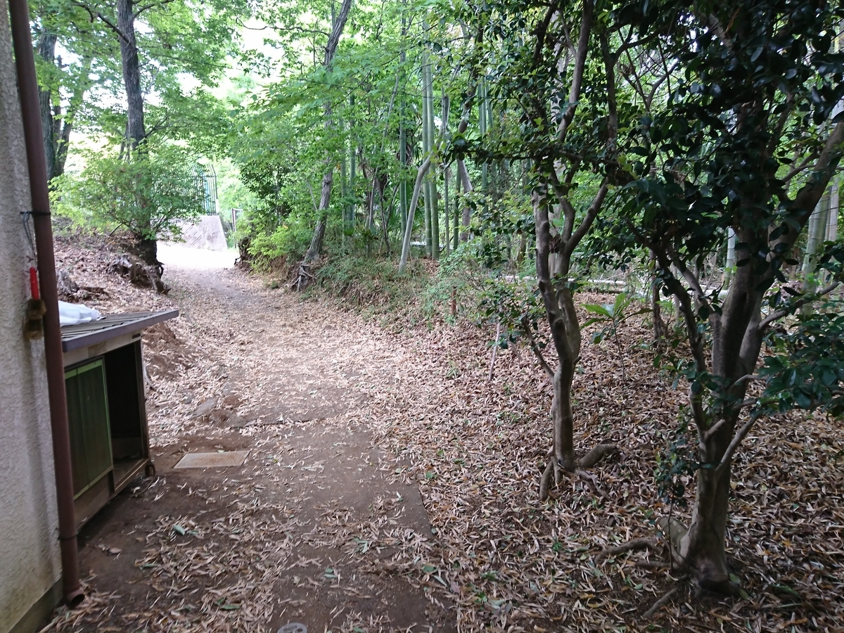 f:id:syrup_school:20190517023028j:plain f:id:syrup_school:20190517023028j:plain