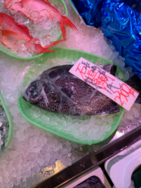 f:id:sys_wwwave:20191212170215p:plain
