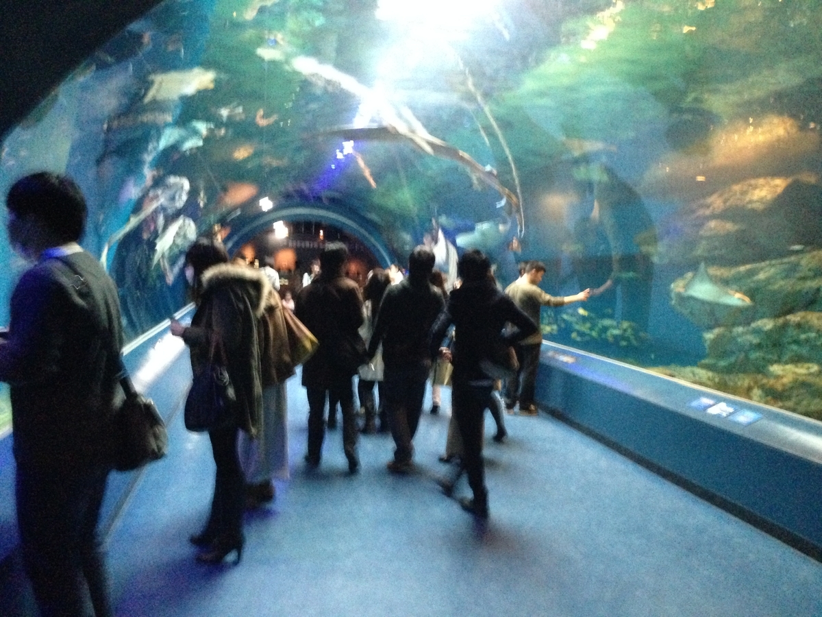 f:id:sys_wwwave:20210607120405j:plain