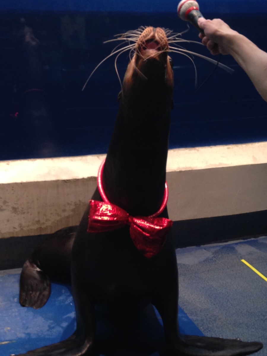 f:id:sys_wwwave:20210607120510j:plain